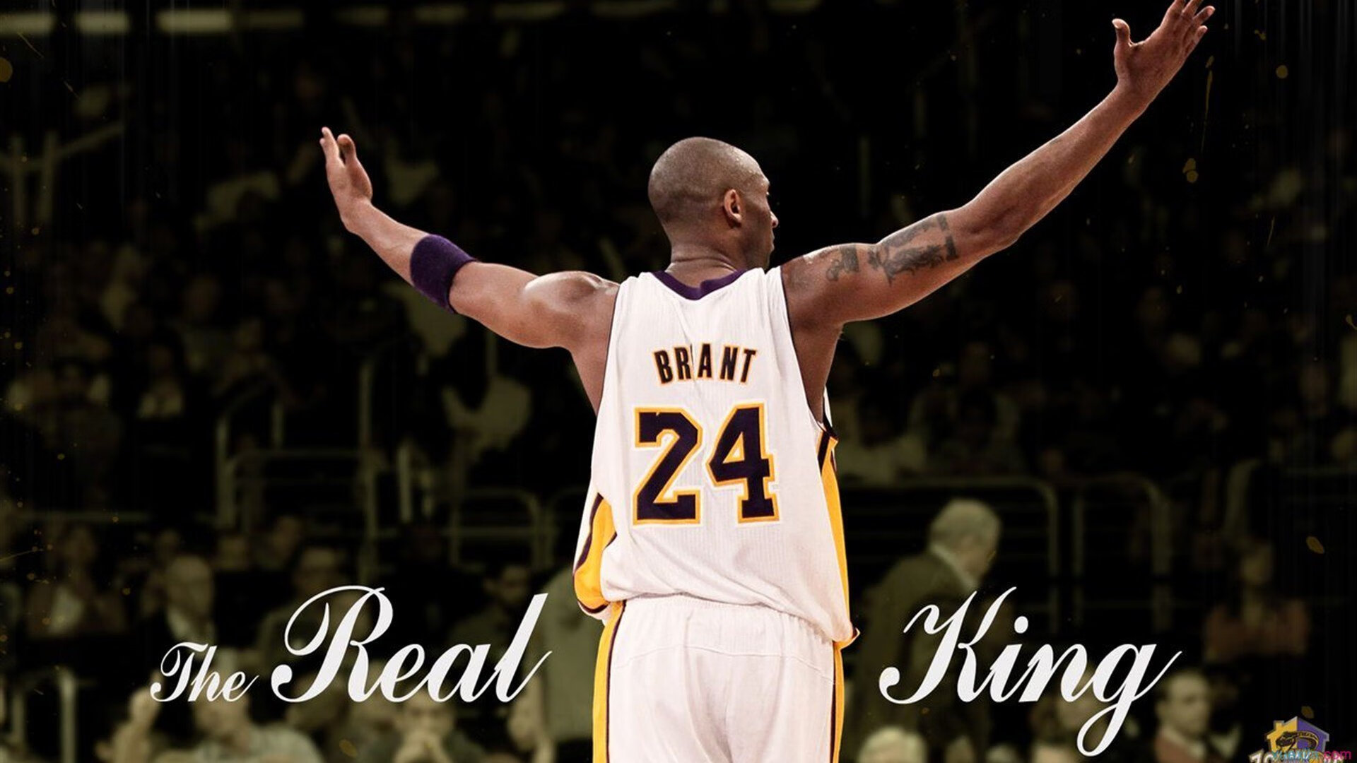 爱游戏中国-库里三分雨刷新历史纪录，国王团队篮球轻取掘金显统治力